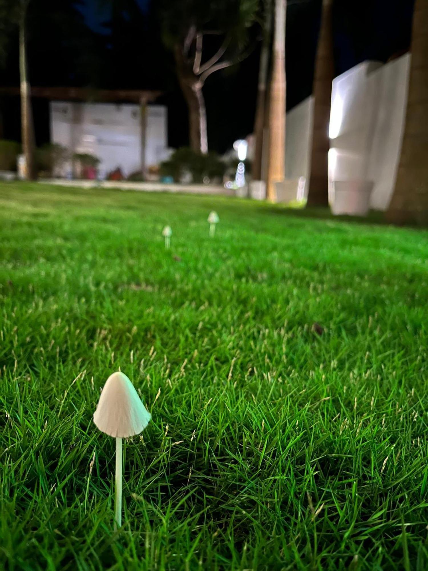 14 Magic Pods Hotel มอร์จิม ภายนอก รูปภาพ